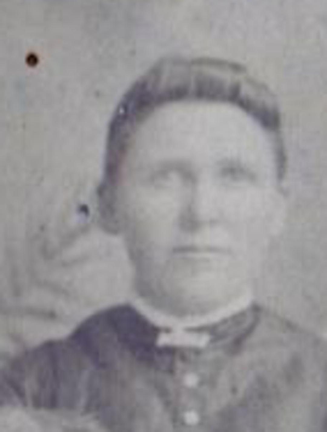 Mary Ellen Stringham (1859 - 1948) Profile